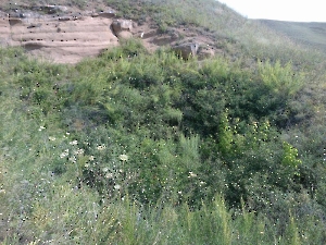 Поездка в Каргалинские рудники. Июль 2011 года