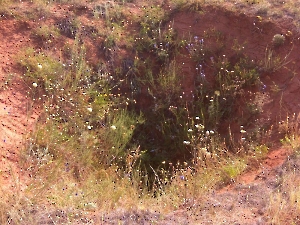 Поездка в Каргалинские рудники. Июль 2011 года