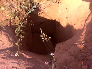 Поездка в Каргалинские рудники. Июль 2011 года