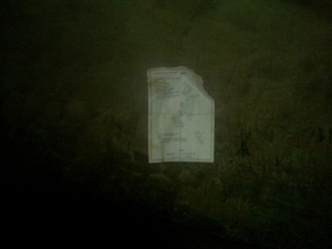 Поездка в Каргалинские рудники. Июль 2011 года