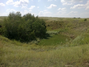 Поездка в Каргалинские рудники. Июль 2011 года