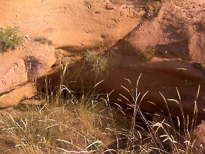 Поездка в Каргалинские рудники. Июль 2011 года