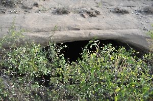 Штольня Р-39. Август 2012 года