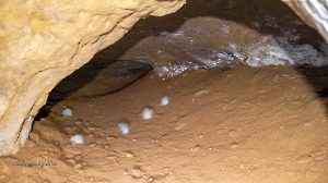 Штольня Р-41. Август 2022 года