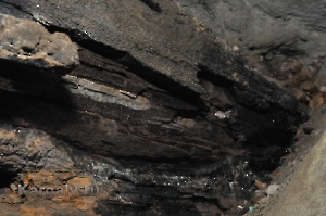 Штольня Р-41. Август 2012 года