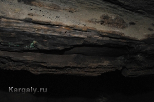 Штольня Р-41. Август 2012 года