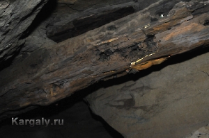 Штольня Р-41. Август 2012 года