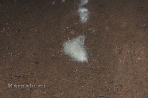 Штольня Р-41. Август 2012 года