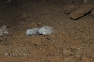 Штольня Р-41. Август 2012 года