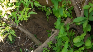 Штольня Р-42 «Лисья нора». Август 2022 года