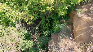 Штольня Р-42 «Лисья нора». Август 2022 года