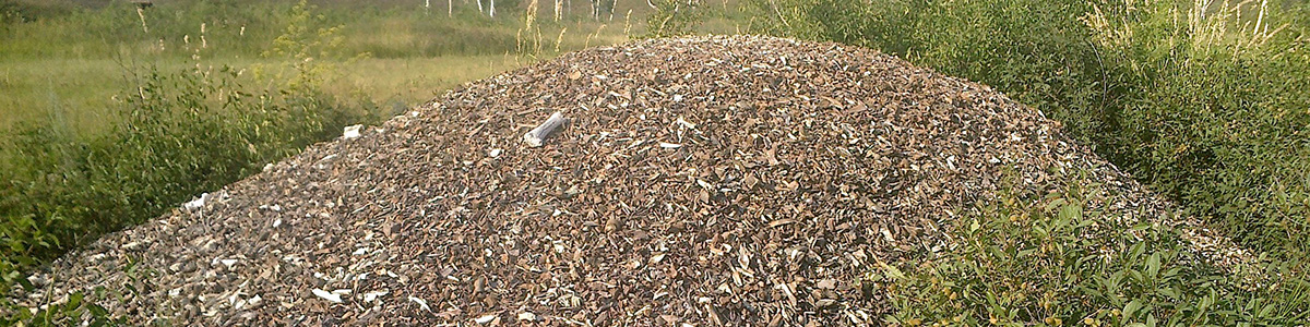 Гора костей