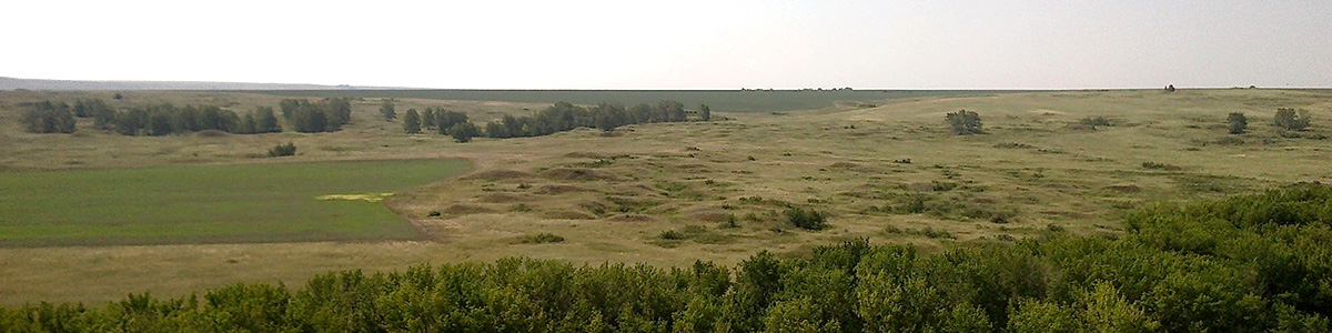 Участок V - Усолка-Левобережный