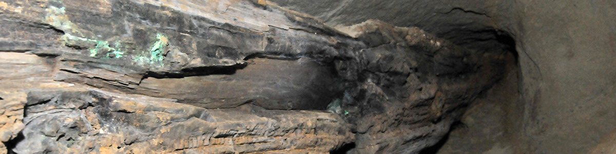 Окаменелое дерево в штольне Р-41