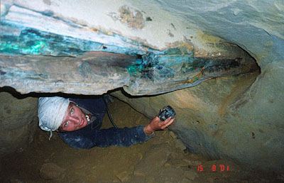 Стволы окаменевших и минерализовавшихся деревьев тянутся через несколько штреков Стволы окаменевших и минерализовавшихся деревьев тянутся через несколько штреков