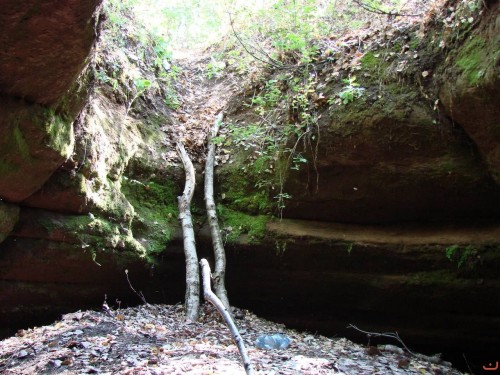 Выход из штольни