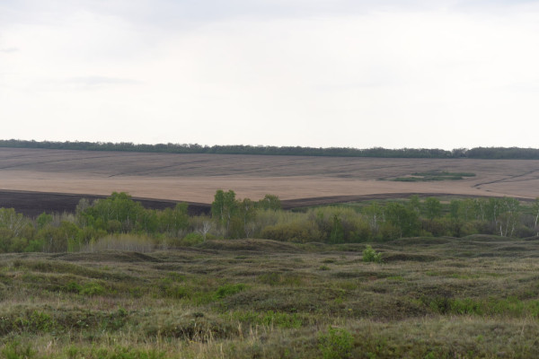 В пламени открытия: под Оренбургом совершили исторический прорыв
