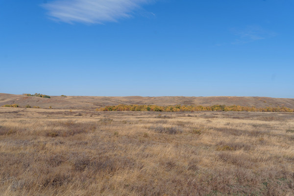 Геология на практике: ОГУ пригласил оренбуржцев на экскурсию по Каргалинским рудникам