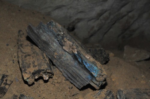 Куски окаменелого дерева