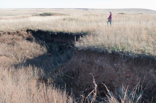 Остатки раскопа на поселении Горный-1