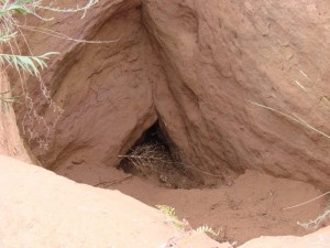 Шахта 01. 2010 год