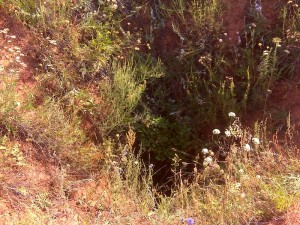 Шахта 02. 2011 год