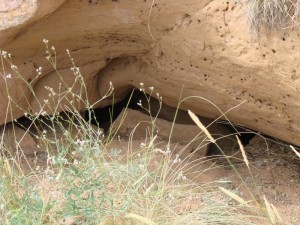 Осыпавшийся вход в штольню. 2010 год