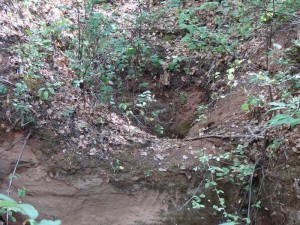 Обрушенная штольня с шахтой