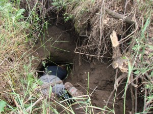 Штольня 02. 2010 год