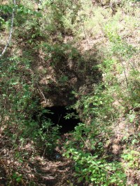 Штольня 03. 2010 год.