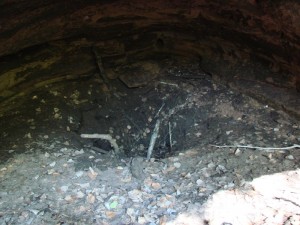 Штольня 03. 2010 год.