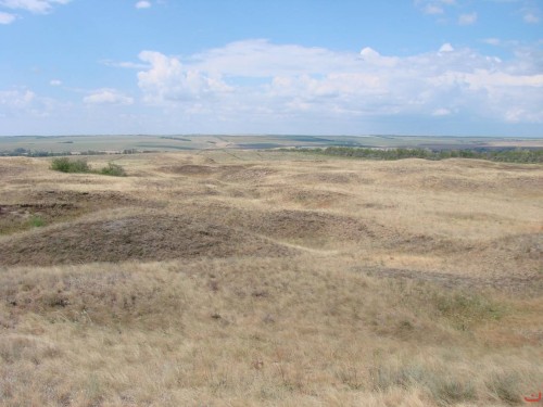 Экспедиция в рамках сайта История Оренбуржья. 12-16 июля 2010 года. День второй