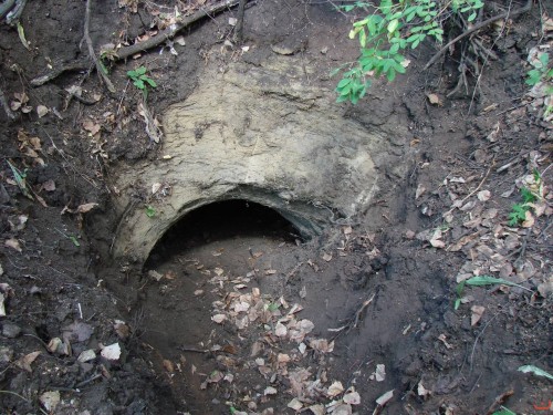 Экспедиция в рамках сайта История Оренбуржья. 12-16 июля 2010 года. День второй