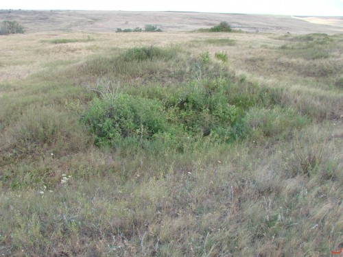 Экспедиция в рамках сайта История Оренбуржья. 12-16 июля 2010 года. День второй