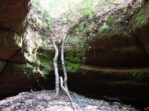 Экспедиция в рамках сайта История Оренбуржья. 12-16 июля 2010 года. День второй
