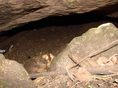 Экспедиция в рамках сайта История Оренбуржья. 12-16 июля 2010 года. День второй