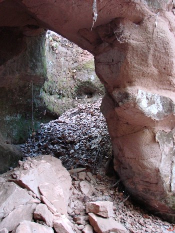 Экспедиция в рамках сайта История Оренбуржья. 12-16 июля 2010 года. День второй