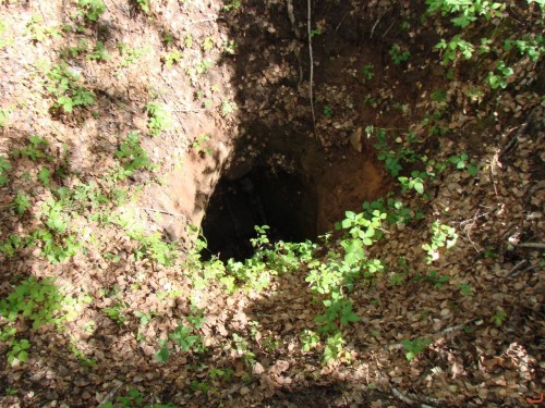 Экспедиция в рамках сайта История Оренбуржья. 12-16 июля 2010 года. День второй