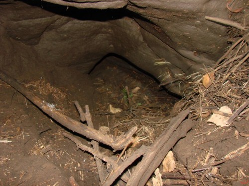 Экспедиция в рамках сайта История Оренбуржья. 12-16 июля 2010 года. День второй