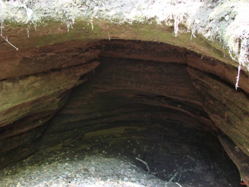 Экспедиция в рамках сайта История Оренбуржья. 12-16 июля 2010 года. День второй