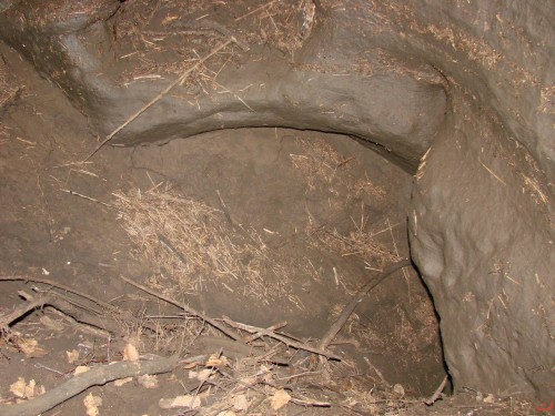 Экспедиция в рамках сайта История Оренбуржья. 12-16 июля 2010 года. День второй