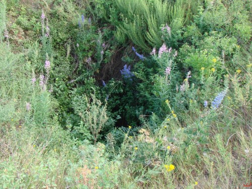 Экспедиция в рамках сайта История Оренбуржья. 12-16 июля 2010 года. День третий