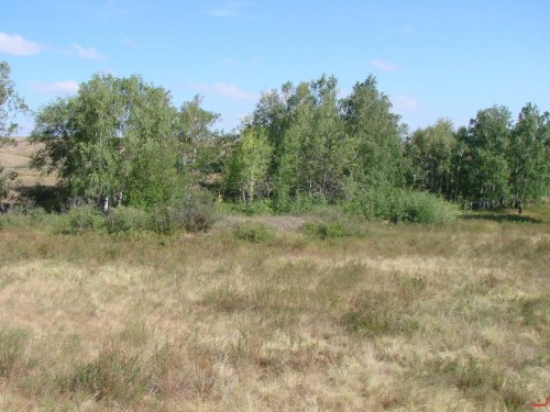 Экспедиция в рамках сайта История Оренбуржья. 12-16 июля 2010 года. День третий