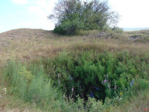 Экспедиция в рамках сайта История Оренбуржья. 12-16 июля 2010 года. День третий