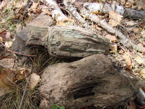 Экспедиция в рамках сайта История Оренбуржья. 12-16 июля 2010 года. День четвертый