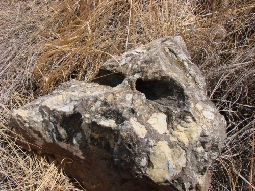 Экспедиция в рамках сайта История Оренбуржья. 12-16 июля 2010 года. День четвертый