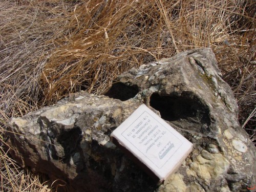 Экспедиция в рамках сайта История Оренбуржья. 12-16 июля 2010 года. День четвертый