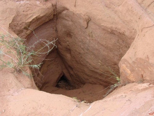 Экспедиция в рамках сайта История Оренбуржья. 12-16 июля 2010 года. День четвертый