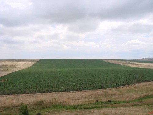 Экспедиция в рамках сайта История Оренбуржья. 12-16 июля 2010 года. День четвертый