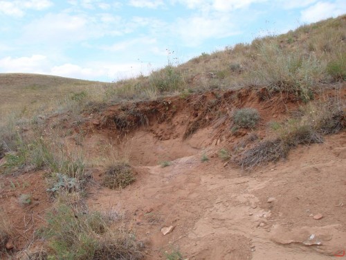 Экспедиция в рамках сайта История Оренбуржья. 12-16 июля 2010 года. День четвертый